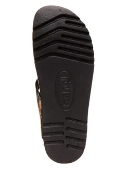 Scholl Zehentrenner "Greeny 2.0" In Bunt -Sandalen Verkauf scholl zehentrenner greeny 2 0 in bunt 4